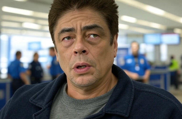 Benicio Del Toro’s Airport Drama: A Script That Raised Eyebrows