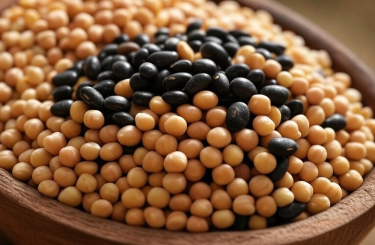 Unlocking the Power of Fermented Legumes: A Health Breakthrough