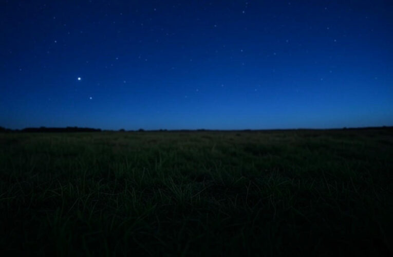 Starry Insights: Unlocking Your Cosmic Path for June 8, 2025