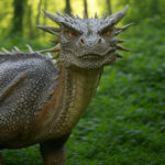 From Animated Wonder to Cash-Grab Blunder: The How To Train Your Dragon Remake Falls Flat