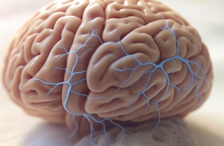 Unlocking Memory: The Hidden Power of Brain Cells