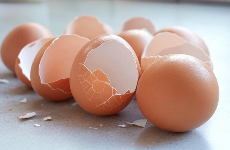Egg Recall Shocks Nation as Salmonella Outbreak Spreads Across States