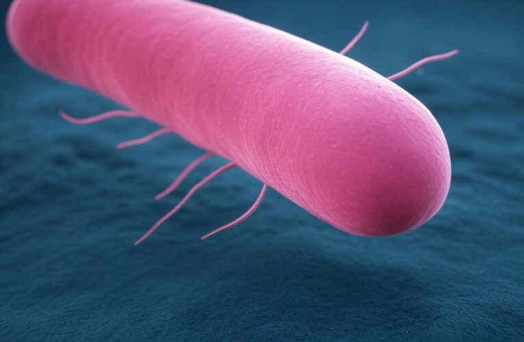 Egg Safety Crisis: California Distributor Linked to Salmonella Outbreak