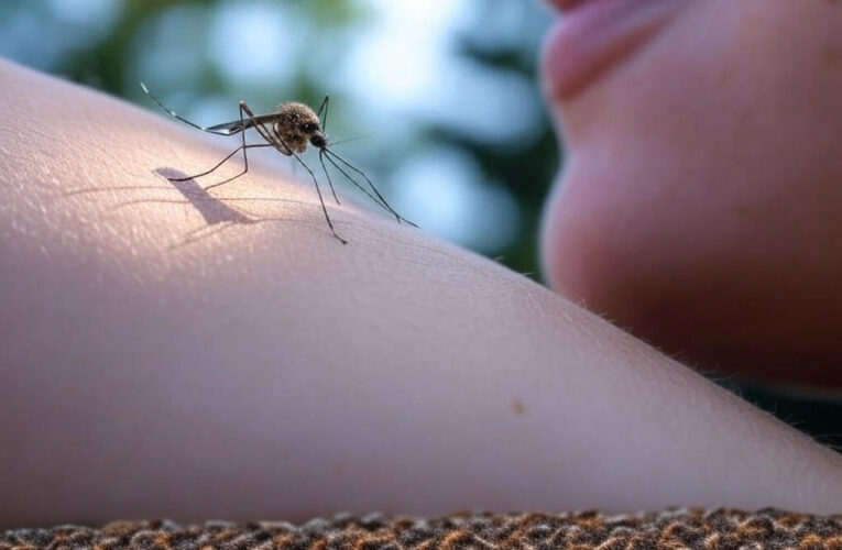 Unveiling the Mystery: Why Mosquitoes Prefer Certain People