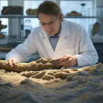 Sauropod Secrets Unearthed: Prehistoric Giants Had a Messy Dining Style