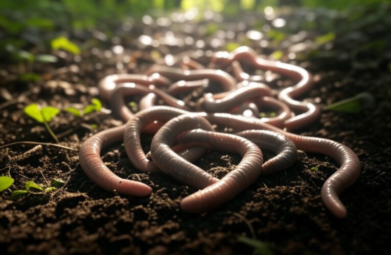 Nature’s Architects: Tiny Worms Build Astonishing Superorganisms in the Wild